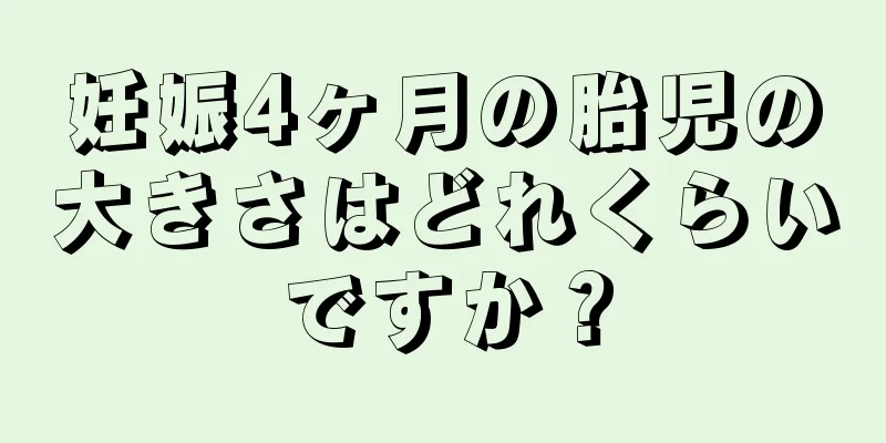 妊娠4ヶ月の胎児の大きさはどれくらいですか？