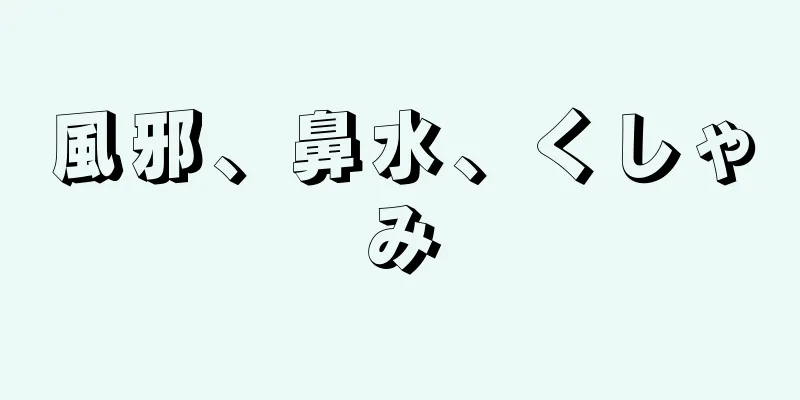 風邪、鼻水、くしゃみ