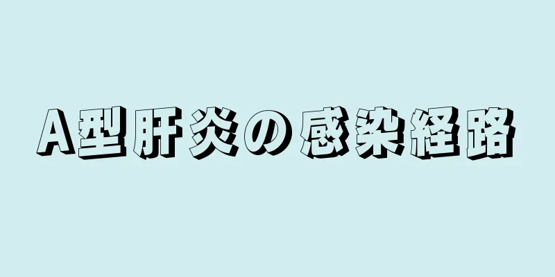 A型肝炎の感染経路