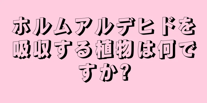 ホルムアルデヒドを吸収する植物は何ですか?