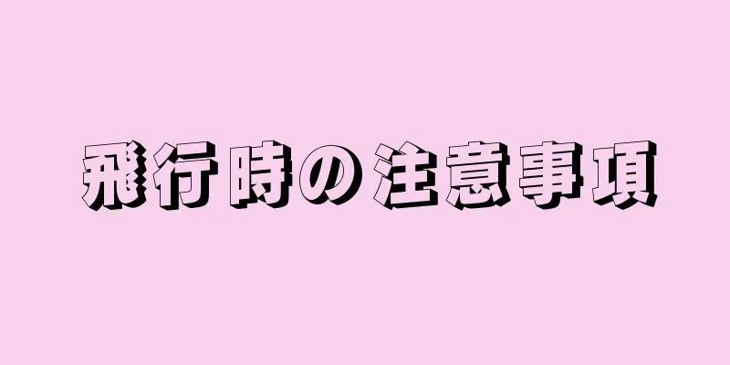 飛行時の注意事項