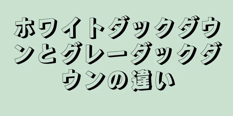 ホワイトダックダウンとグレーダックダウンの違い