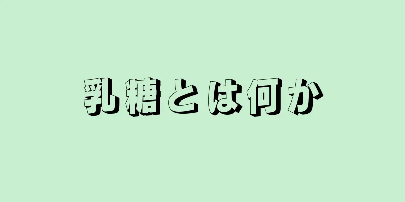 乳糖とは何か