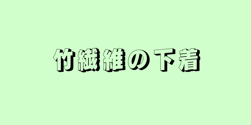 竹繊維の下着