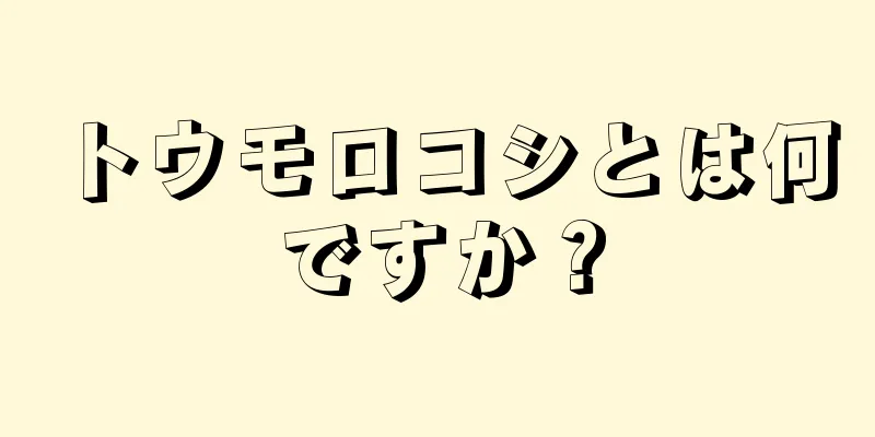 トウモロコシとは何ですか？