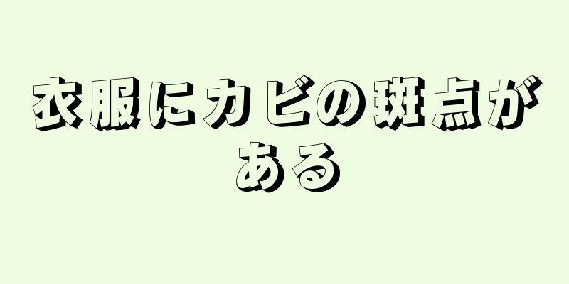 衣服にカビの斑点がある