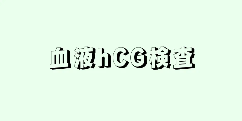 血液hCG検査