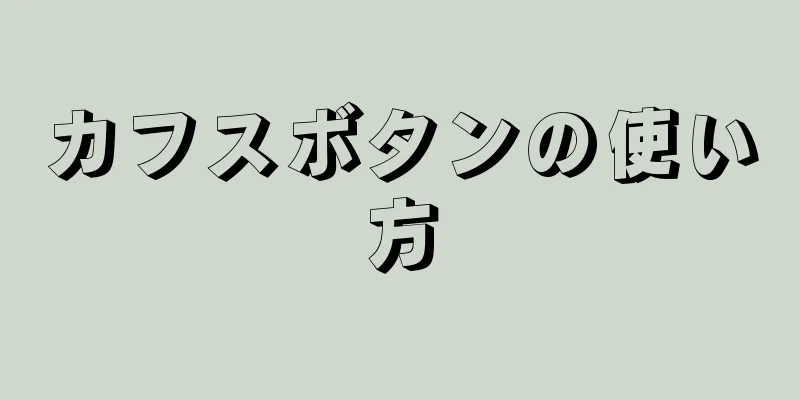 カフスボタンの使い方