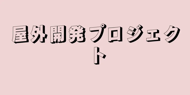 屋外開発プロジェクト