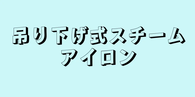 吊り下げ式スチームアイロン