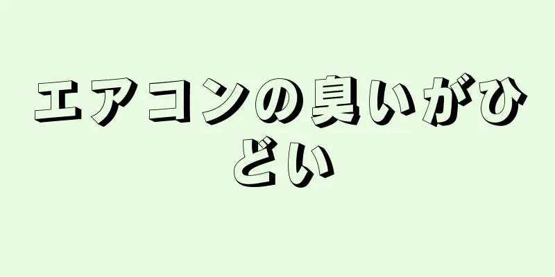 エアコンの臭いがひどい