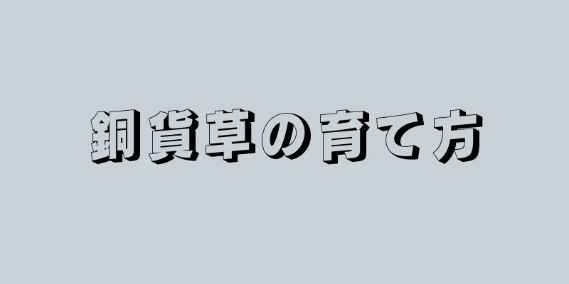 銅貨草の育て方