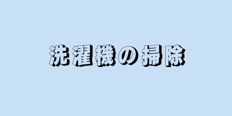 洗濯機の掃除