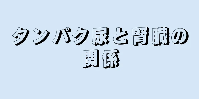 タンパク尿と腎臓の関係