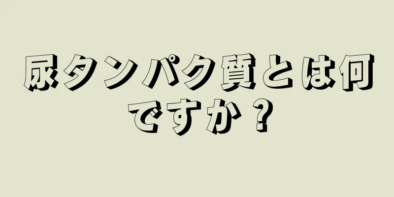 尿タンパク質とは何ですか？