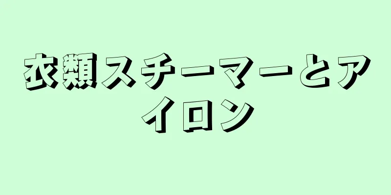 衣類スチーマーとアイロン