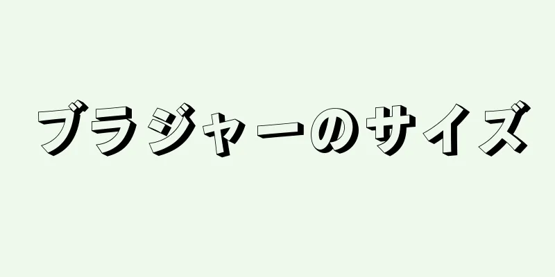 ブラジャーのサイズ