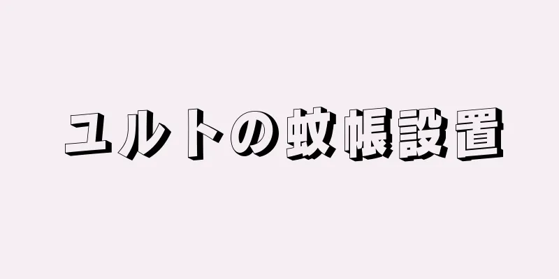 ユルトの蚊帳設置