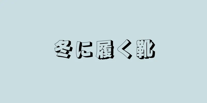 冬に履く靴