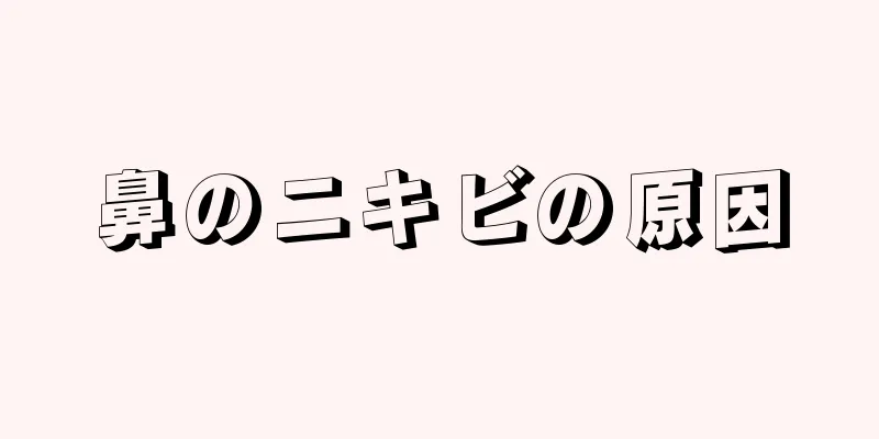 鼻のニキビの原因