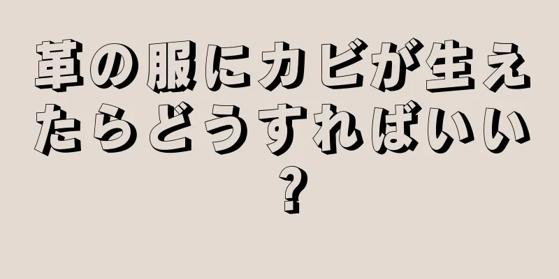 革の服にカビが生えたらどうすればいい？