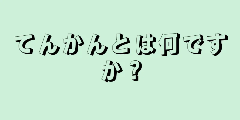 てんかんとは何ですか？