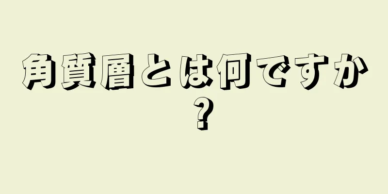 角質層とは何ですか？