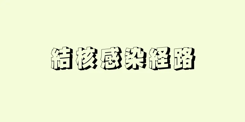 結核感染経路