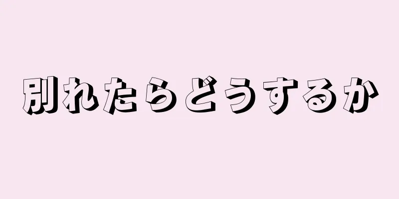 別れたらどうするか