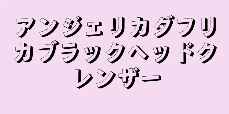 アンジェリカダフリカブラックヘッドクレンザー