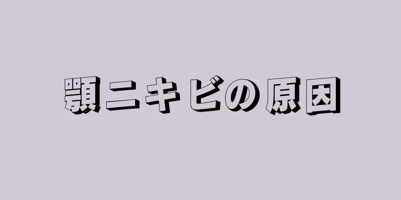 顎ニキビの原因