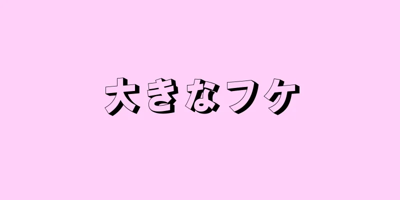 大きなフケ