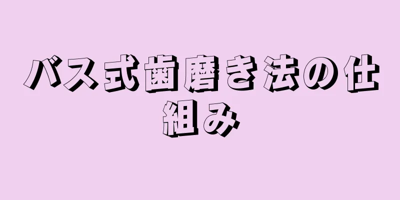 バス式歯磨き法の仕組み