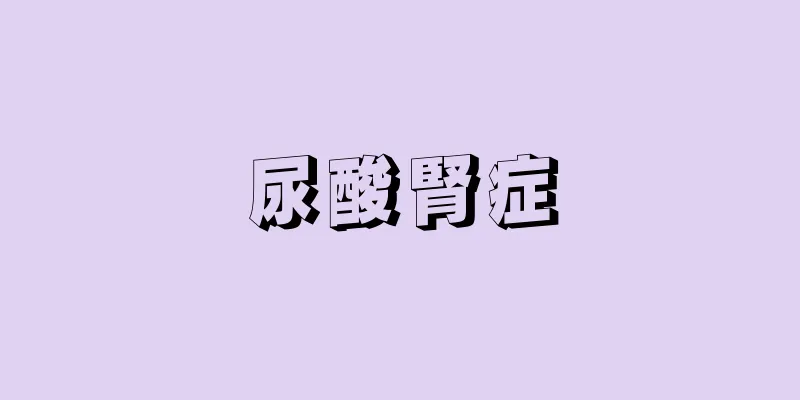 尿酸腎症