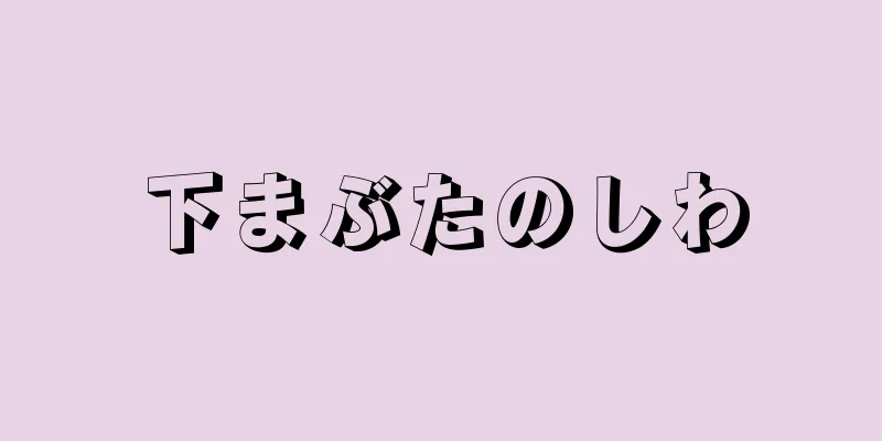 下まぶたのしわ