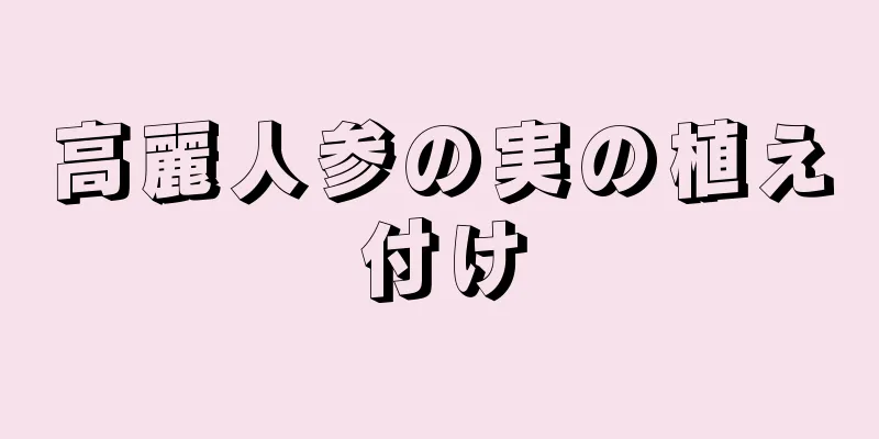 高麗人参の実の植え付け