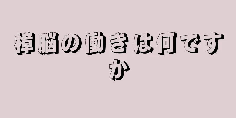 樟脳の働きは何ですか