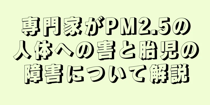 専門家がPM2.5の人体への害と胎児の障害について解説