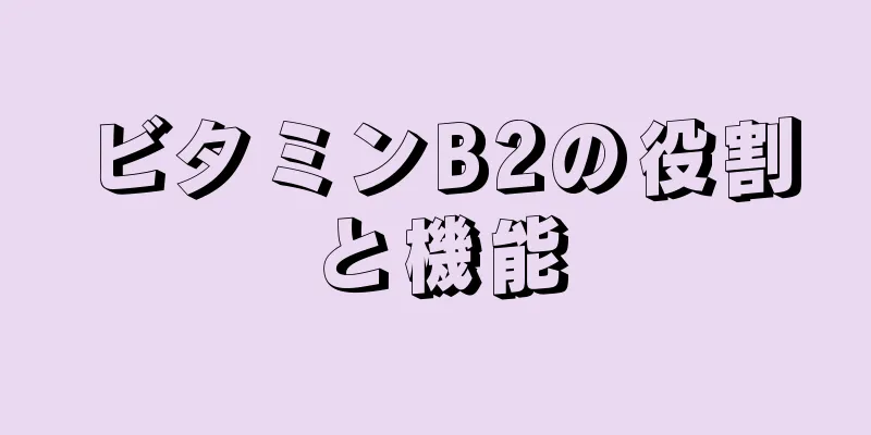 ビタミンB2の役割と機能