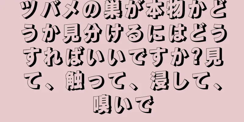 ツバメの巣が本物かどうか見分けるにはどうすればいいですか?見て、触って、浸して、嗅いで