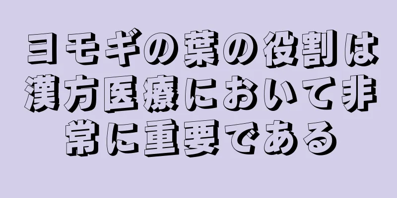 ヨモギの葉の役割は漢方医療において非常に重要である