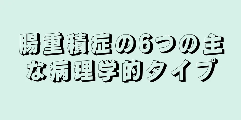 腸重積症の6つの主な病理学的タイプ