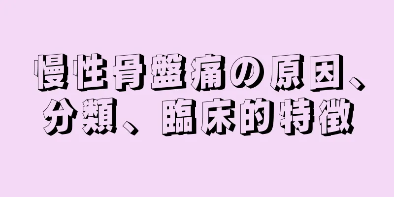 慢性骨盤痛の原因、分類、臨床的特徴