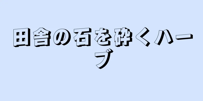 田舎の石を砕くハーブ