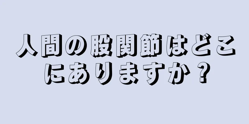 人間の股関節はどこにありますか？