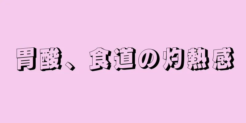 胃酸、食道の灼熱感