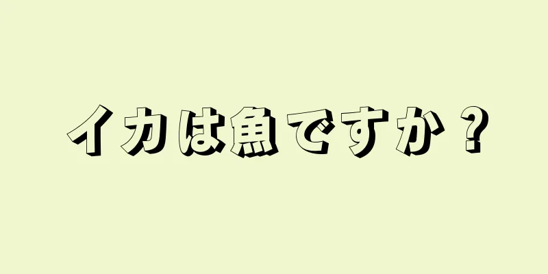 イカは魚ですか？