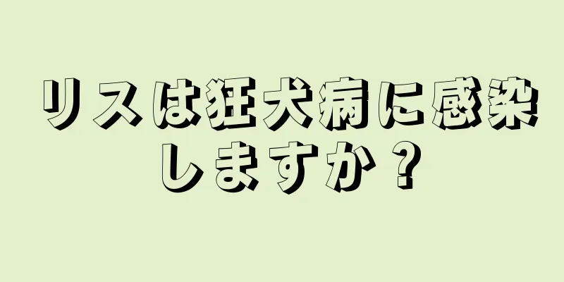 リスは狂犬病に感染しますか？