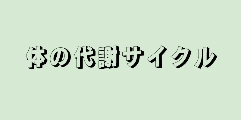 体の代謝サイクル