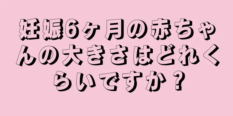 妊娠6ヶ月の赤ちゃんの大きさはどれくらいですか？